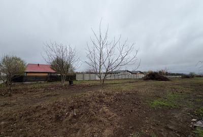 Tamasi, Corbeanca – teren 9838 mp - 4