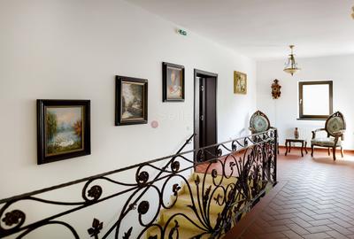 PROPRIETATE DEOSEBITA - LIZIERA PADURII - 58