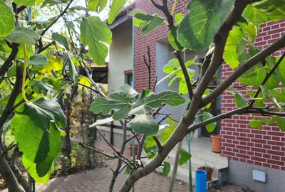 OMNIA-Proprietati alese! Haide sa probam o casa, garantez ca e frumoasa! - 7