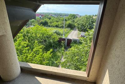 Branesti Calea Bucuresti - 37