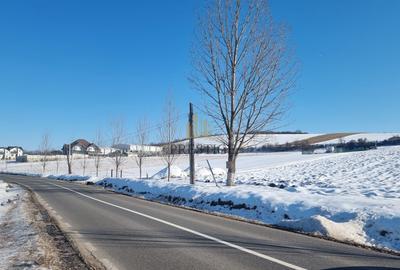 FĂRĂ COMISION | TEREN 6695 MP ÎN ȘURA MARE - 1