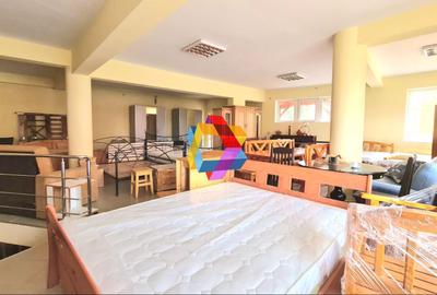 Spatiu comercial  - 450 mp # Plus Spatii comerciale/Birouri - 12