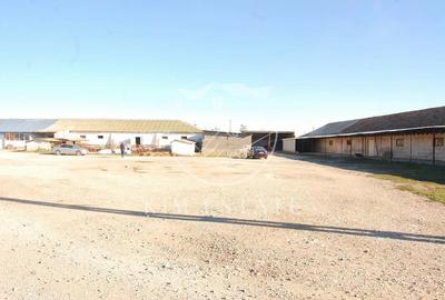 De vanzare ferma N.Balcescu - 1