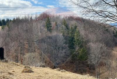 Teren extravilan Fundata 3,915 mp - 1