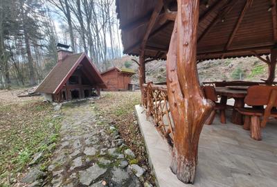 Cabana de vanzare ,Valea Avrigului/ 3000 mp/Langa padure - 21