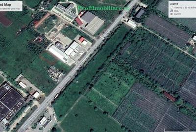 Teren 1.500mp pentru constructii comerciale-industriale- Gradiste strada Petru R - 5