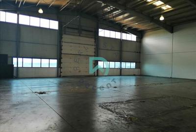 Vanzare hala industriala Brasov, Parc Industrial Prejmer - 14