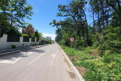 Vanzare proprietate in Mogosoaia langa padure - 1