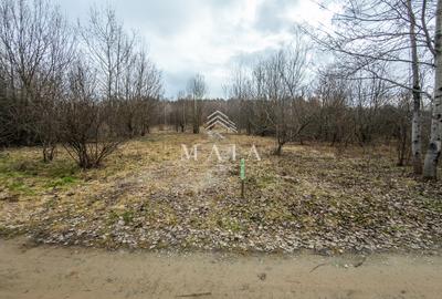 Teren extravilan 2200 mp, zona Calea Poplăcii, la 5 min de Valea Aurie - 5