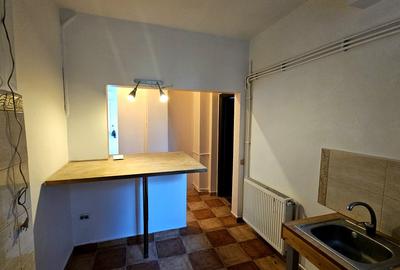 Apartament 1 camera in bloc interbelic langa Palatul Cotroceni - 8