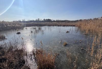 Teren cu deschidere la lac strada Orhideelor- conectare imediata la curent - 3