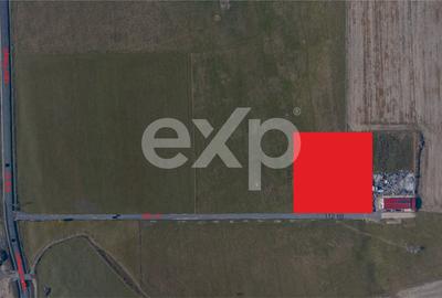 Teren 11.600 mp – Râșnov, zona Tabăra, 230 m de DN 73 - 3