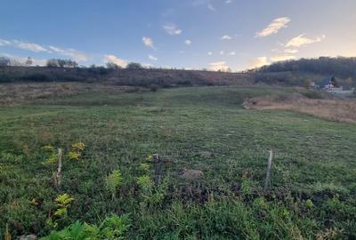 Loc de casa in Agafton - 3