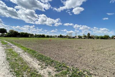 Teren intravilan Zona Metropolitana Brasov - 9