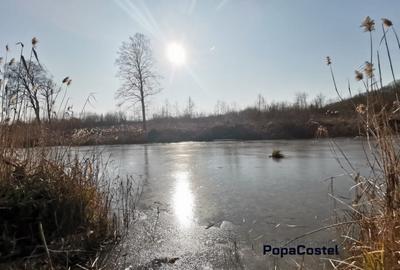 Silistea Snagovului teren intravilan 900 mp + 100 mp drum servitute - 7