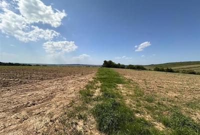 Teren langa padure pentru casa, Cercu, Barnova, de la 500mp la 4000mp - 8