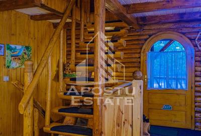 Pensiune, casa de vacanta, 6 camere, statiunea Rausor din Hunedoara - 59