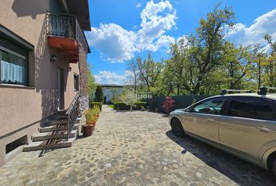 Locatie premium cu 2 constructii || Acces direct din DN71 – Dealu Mare, Dambovit - 21