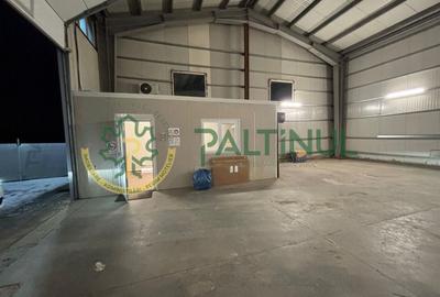 Hală industrială 300 mp de închiriat in Viile Sibiului, Sibiu - 1