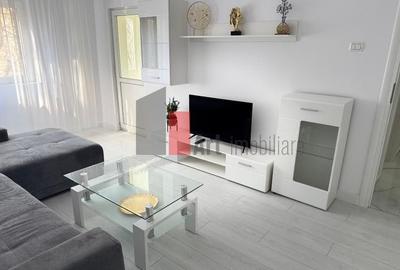 Inchiriere apartament 2 camere Gorjului - 3