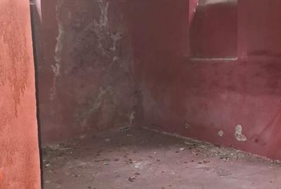 Noblețe Arhitecturală și Oază Verde: O Moștenire Vie cu Grădină Privată - 12