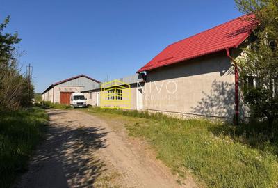 Clădire industrială – Hale – Miercurea Nirajului - 5