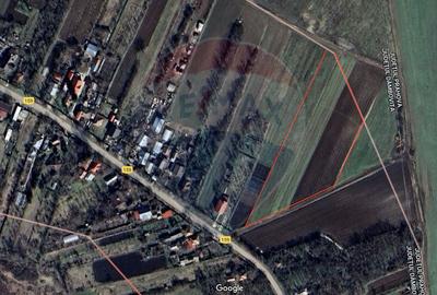 Teren Construcții intravilan de 10000 mp, în Butimanu