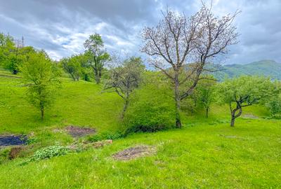 Teren 1500mp, intravilan cu utilitati, in proximitatea complexului Vila Bran - 8