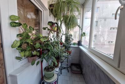2 camere | complet mobilat | acces facil | Aradului | Piata Verde - 15