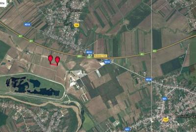 Teren intravilan 6.000 mp Bolintin Vale, Ilfov - 3