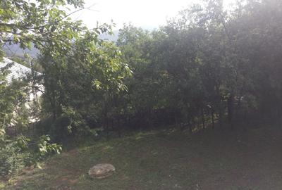 Casa Breaza 2026 , structura solida de beton , priveliste top - 19