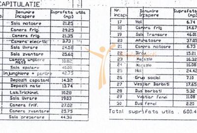 ABATOR DE VANZARE IN JUD CALARASI - 2