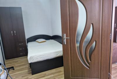Șagului-Rebreanu arteră principală - 9