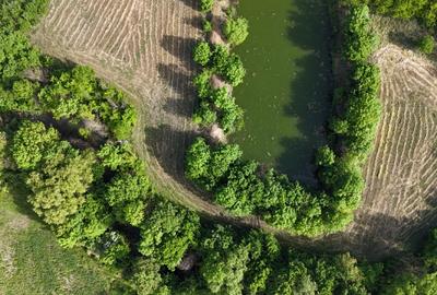 Teisori domeniul verde cu baltă de pește ,Neajlov,,Padure - 4