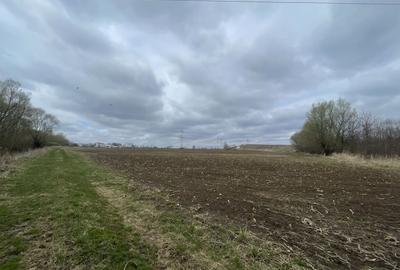 TEREN INTRAVILAN | 50 ARI | ZONA PERIFERICA RADAUTI - 4