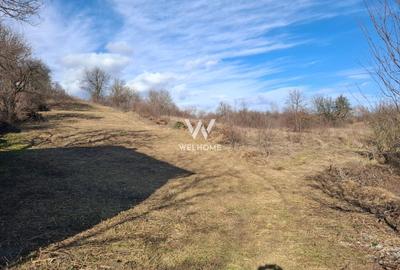 Teren intravilan constructii situat in Cisnadie - Sibiu - 1