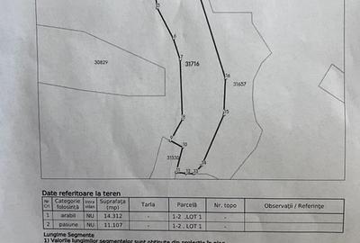 🌳 Oportunitate de Investiție: Teren Extravilan Generos în Sichevița - 1