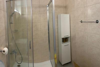 Apartament cochet cu 2 camere - loc parcare subteran - Pipera - George Bacovia - 6