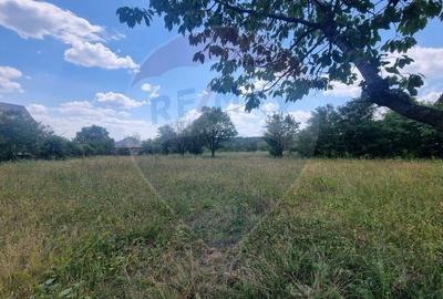 Teren intravilan 11.500 mp – Strada Cismari Vălenii de Munte - 1