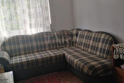 Casă spațioasă aproape de centru – Gruia, teren mare și livadă - 15