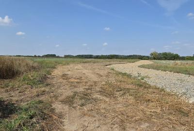 Teren intravilan de vanzare - Zona Aquastar / Str. Gorunului - 406 mp - 1