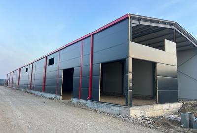 Hale de vânzare Afumați – zona Doraly | 560 mp/unitate | acces DN2, A0, Centură - 6