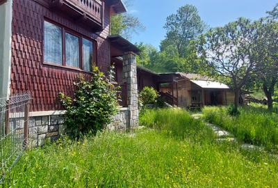 Casa gospodarului, bine întreținută, cu teren generos – Comarnic - 19