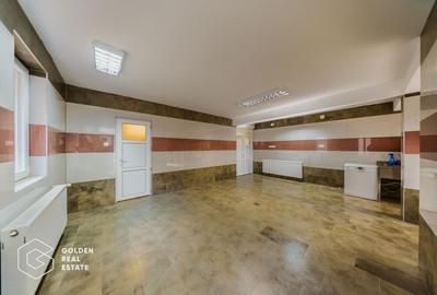 Proprietate pretabila pentru afacere, Cladova - 17