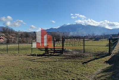 Teren 1.500 mp | Sohodol – Tohan Nouă | Vedere Panoramică Bucegi - 1