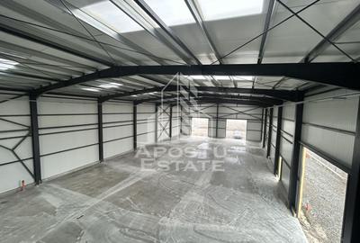 Hala cu Showroom, de inchiriat,  Strada Aeroport, aproape de VGP. - 3