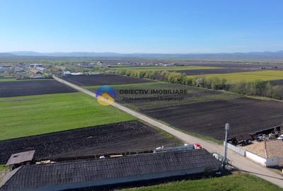 Teren 2063 mp intravilan Podoleni - judet Neamt - 9
