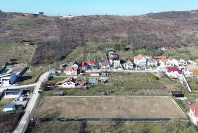 Teren intravilan de vânzare in Oradea 3000 mp zona de vile Facliei - 5
