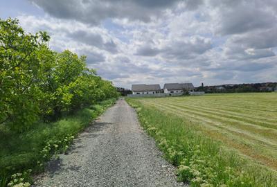 Branesti - Pasarea, dubla deschidere, poseda urbanism - 6