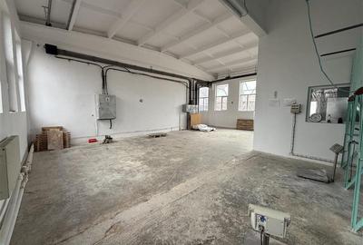 Hale industriale de inchiriat cu platforma betonata de 10.424mp - Șerbanest - 6